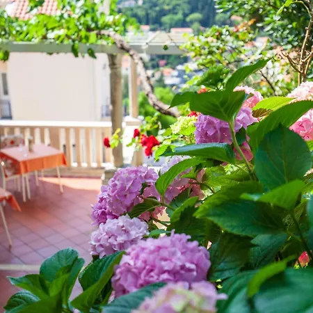 Ivana Appartement
