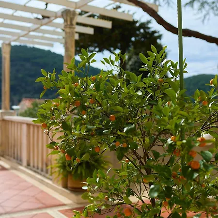 Apartamento Ivana *